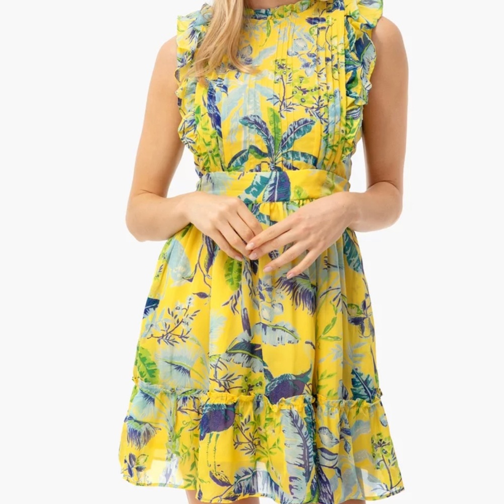 Banjanan Lisbon Garden Hyacinth Mini Dress in Sunshine
